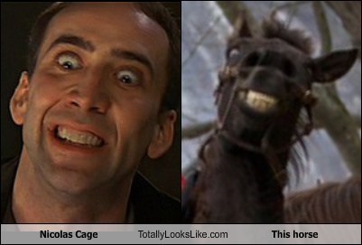 Nicolas Cage Totally Looks Like This Horse