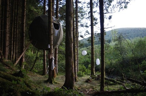 Camping Courtesy of the Orb