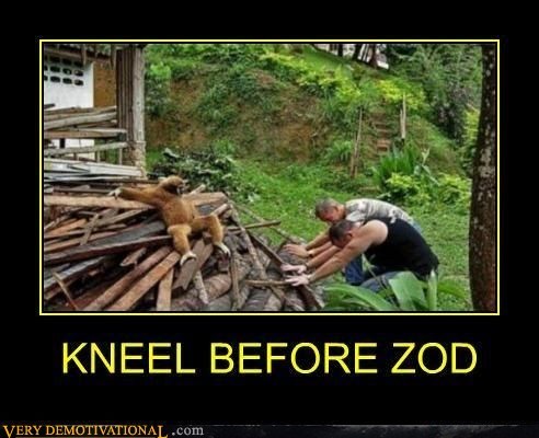 Zod Is a Sloth?