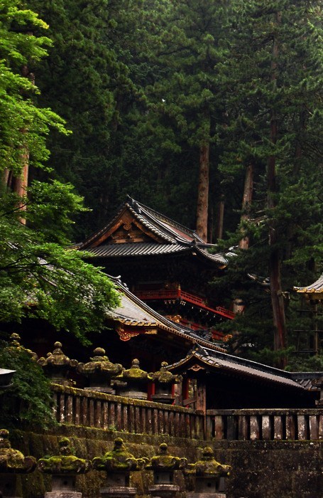 The Wooded Bastion