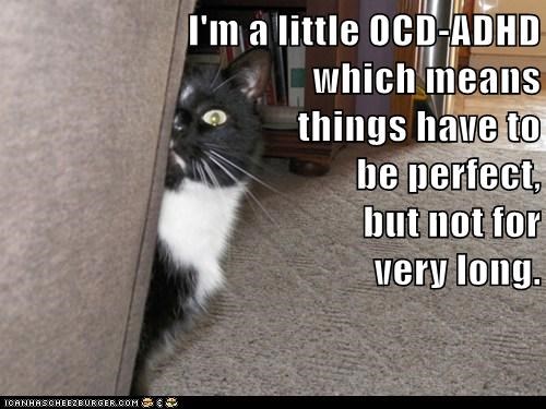 I'm a little OCD-ADHD