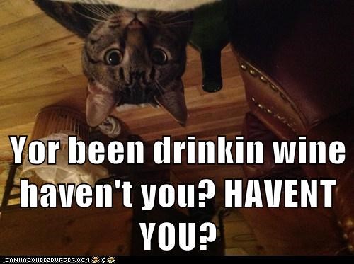 Yor been drinkin wine haven't you? HAVENT YOU?