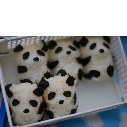 The Cutest Little Rice Balls