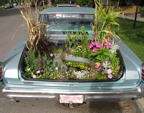 Garden in The Trunk