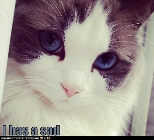 I has a sad
