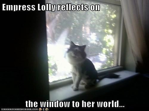 Empress Lolly reflects on  the window to her world...
