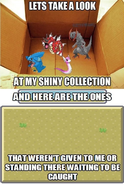Not Even One Shiny Pokémon After All These Years...