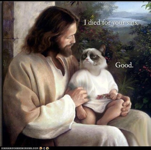 Grumpy Cat LOL...