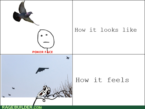 Pigeon Bombardeers