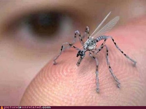 Insect Spy Drone