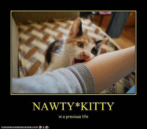 NAWTY*KITTY