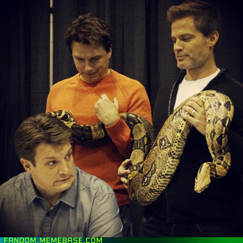 Snakes? I Hate Snakes