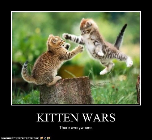 KITTEN WARS