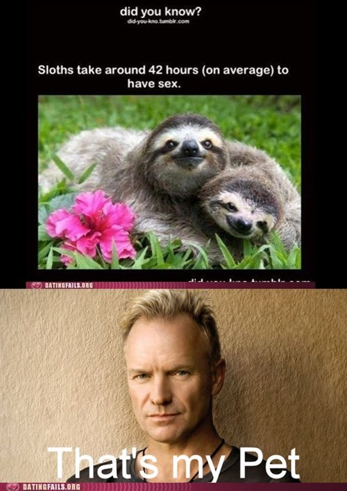 Benefits of being a Sloth FIXED.