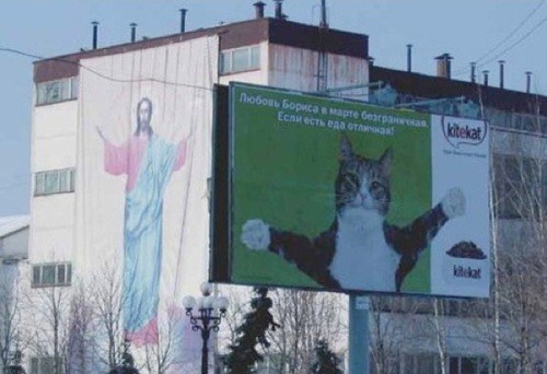 Jesus Cat?