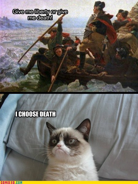 GRUMPY CAT DOESN'T LIKE HISTORY