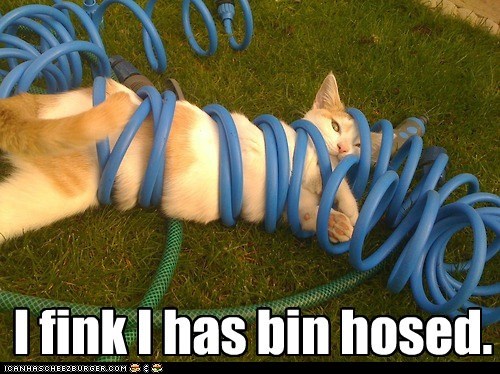 Hosed Gud