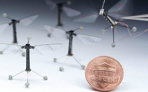 The Smallest Flying Robots