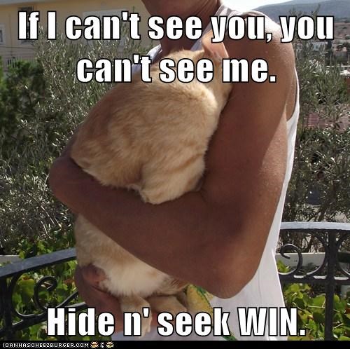 If I can't see you, you can't see me.  Hide n' seek WIN.