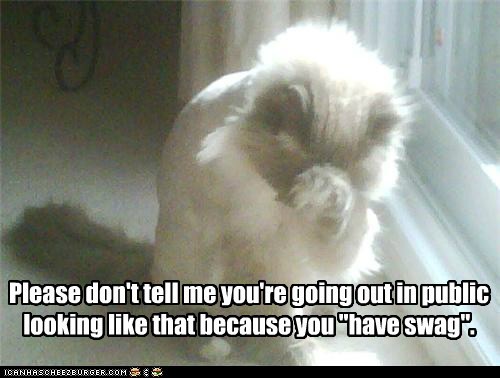 Ashamed Cat is Ashamed