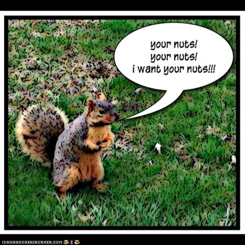 your nuts!