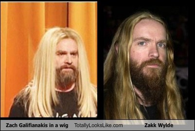 Zach Galifianakis in a wig Totally Looks Like Zakk Wylde
