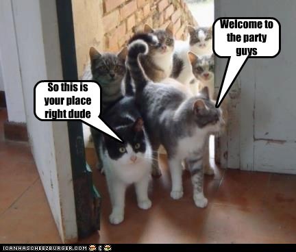 Welcome to the party guys