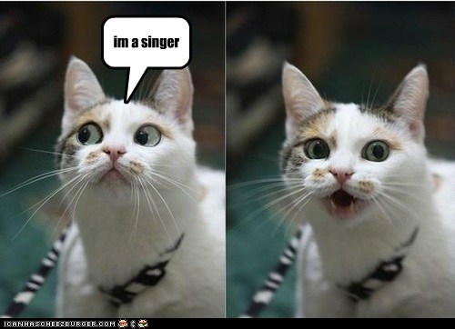 im a singer