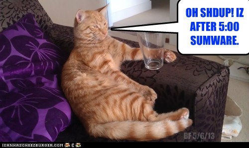 ALKOHOLIK CAT JUSTIFIES DRINKIN AT 7 A.M.