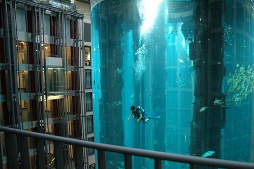 Taking a Dive in the Radisson Blu Hotel, Berlin