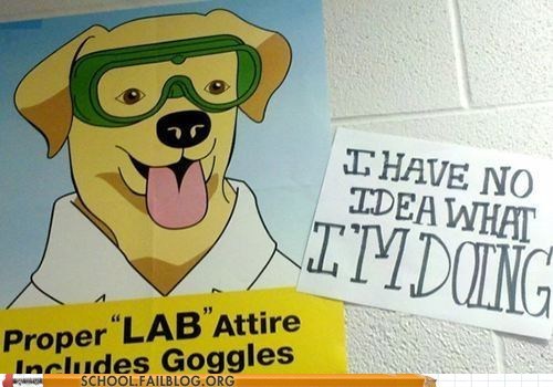 How Does Me a Lab Learn Lab Safety? 