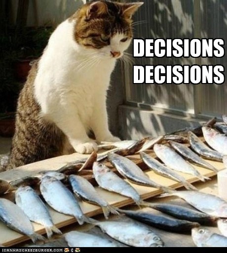 DECISIONS DECISIONS