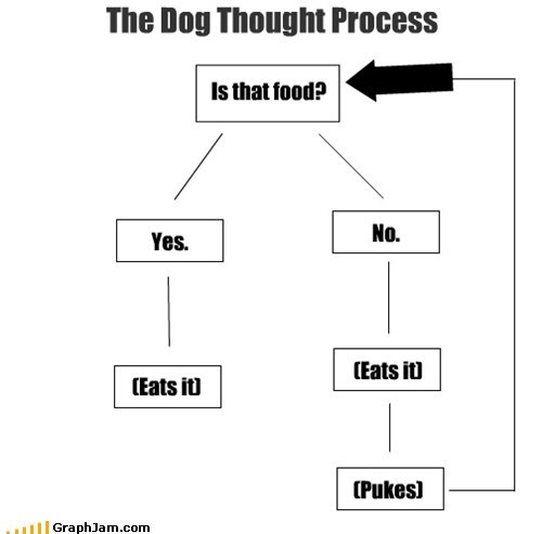 The Infinite Dog Cycle
