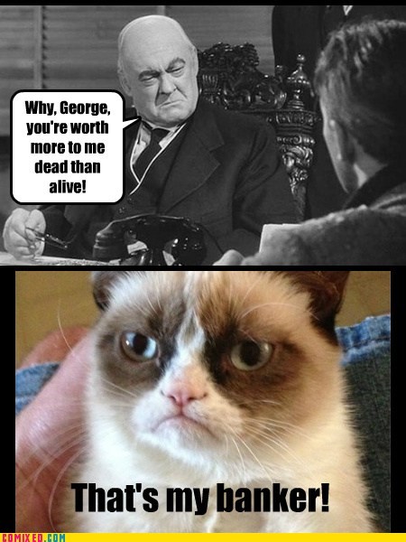 He Was Reincarnated as a Kitty