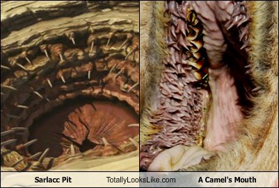 Sarlacc Pit Totally Looks Like A Camel's Mouth