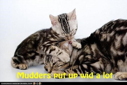 Why we luv our Mudders - 8