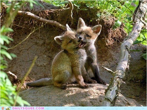Got your muzzle!