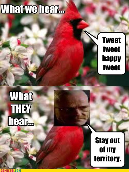 Ah, the gentle sounds of spring...