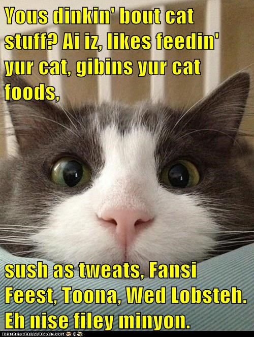 Yous dinkin' bout cat stuff? Ai iz, likes feedin' yur cat, gibins yur cat foods,  sush as tweats, Fansi Feest, Toona, Wed Lobsteh. Eh nise filey minyon.