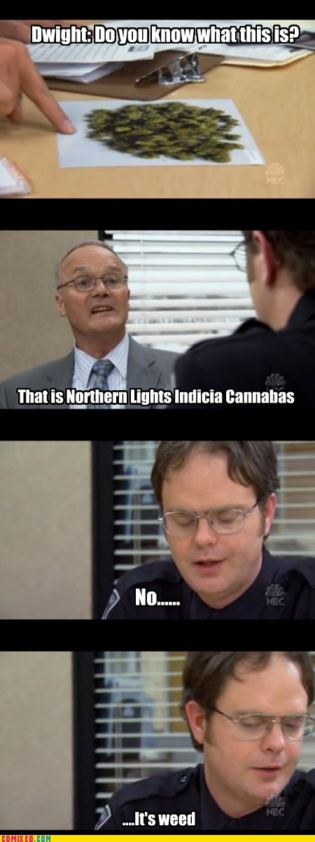 Creed from the Office discussing weed