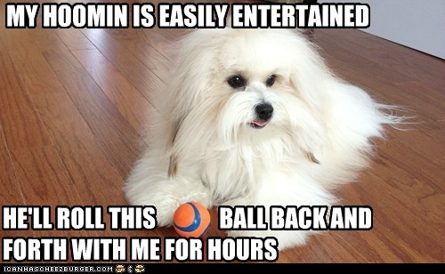 If It Keeps Him Entertained...