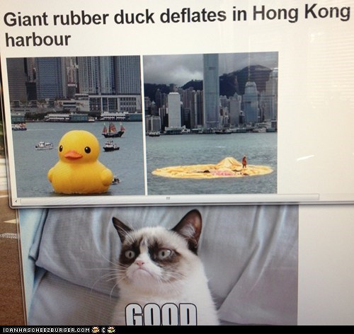 Giant Rubber Duck?
