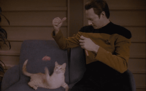 An Android and His Cat