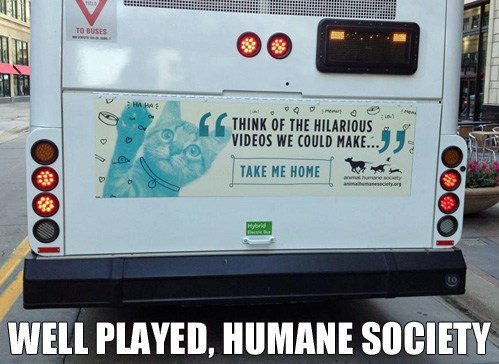Think of All the Hits