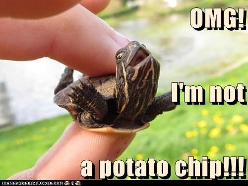 OMG! I'm not a potato chip!!!