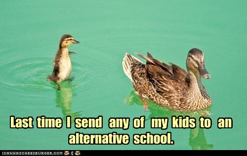 What Are They Teaching Ducklings These Days?