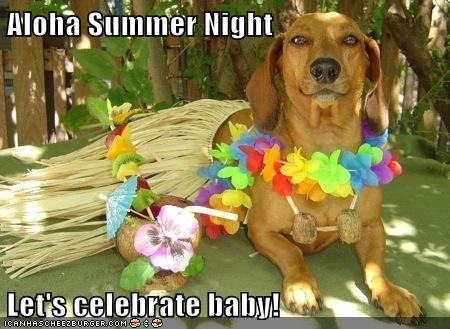 Aloha Summer Night  Let's celebrate baby!
