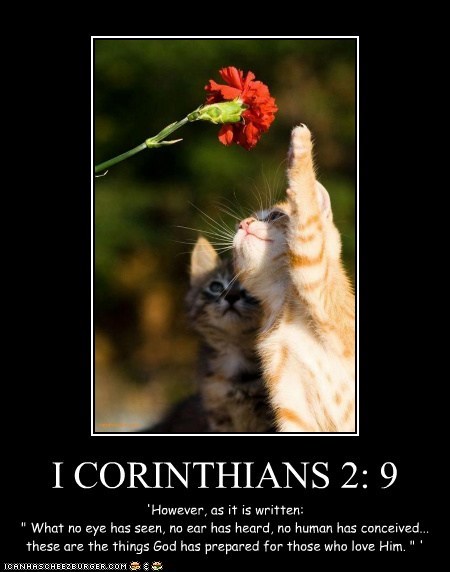 I CORINTHIANS 2: 9
