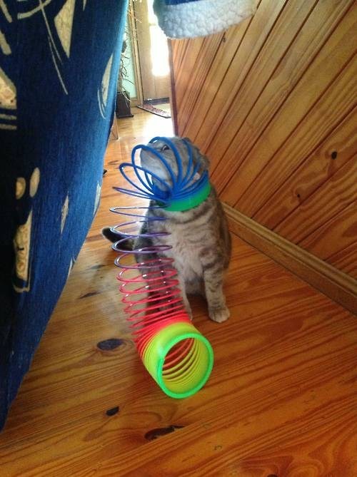 You Win This Time, Slinky