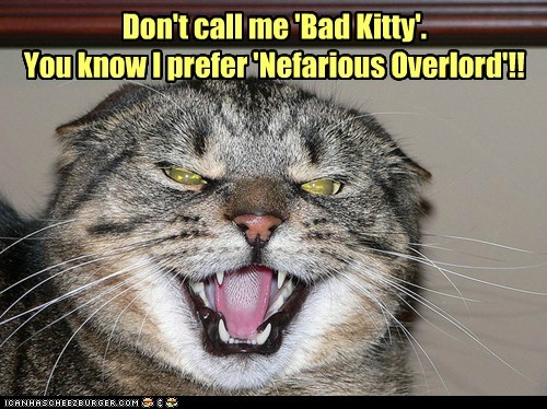 'Bad Kitty' is SO wimpy!
